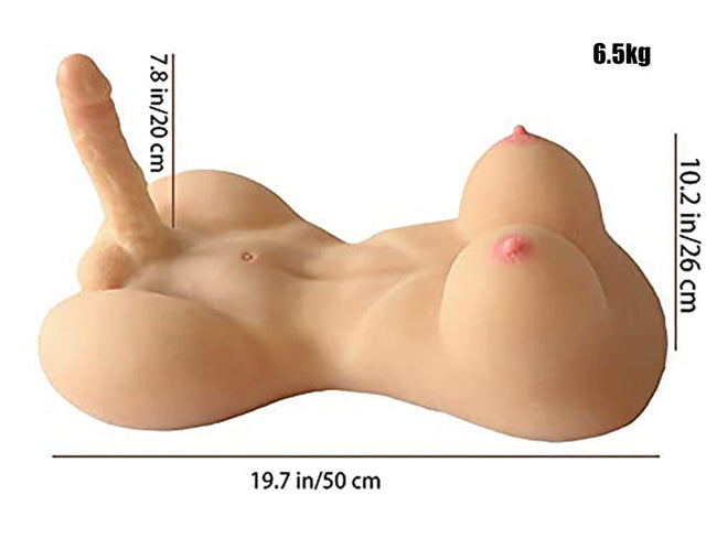 Torso Sexuel Trans
